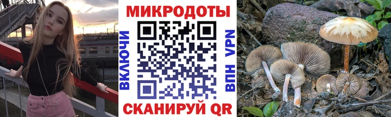 что такое наркотик  Миллерово  Псилоцибиновые грибы Magic Shrooms 
